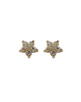 14K Gold Star Zircon Earring