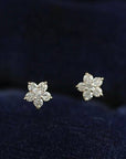 14K Gold Star Zircon Earring