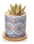 Mandala Planter Set of 4