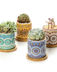 Mandala Planter Set of 4