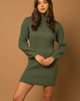 Gilli Turtle Neck Balloon Sleeve Sweater Dress