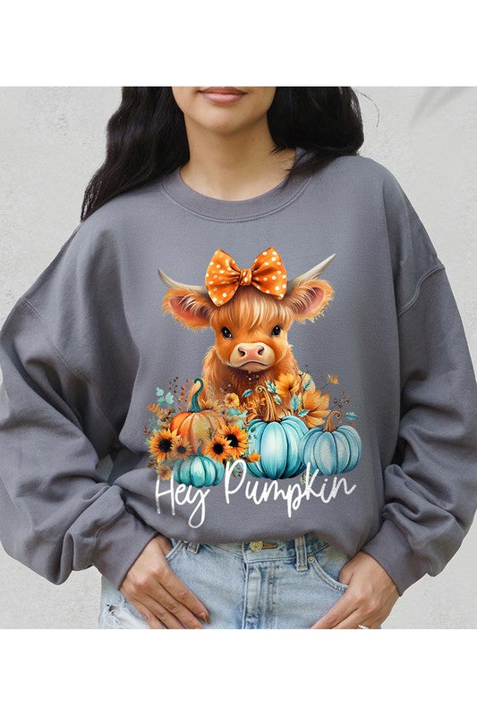 Hey Pumpkin Highland Cow Thanksgiving Fleece Graphic Sweatshirt