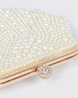 Faux Pearl Sea Shell Iconic Clutch Bag