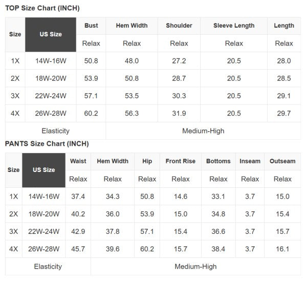 Plus Size Leopard Pullover and Shorts Set