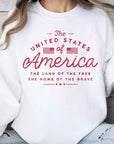 United States of America Oversized Sweatshirt