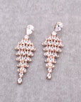 Luxury Cubic Zirconia Drop Earrings