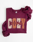 Cozy Season Graphic Fleece Sweatshirts