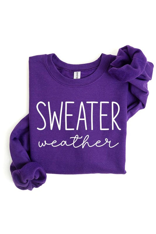 Sweater Weather Graphic Fleece Sweatshirts