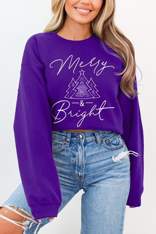 Merry &amp; Bright Graphic Fleece Sweatshirts