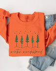 Winter Wonderland Graphic Fleece Sweatshirts