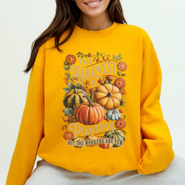 Christian fall graphic sweatshirt, Pumpkin top