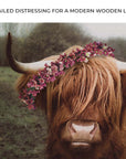 Retro Floral Crown Highland Cow Canvas Wall Art