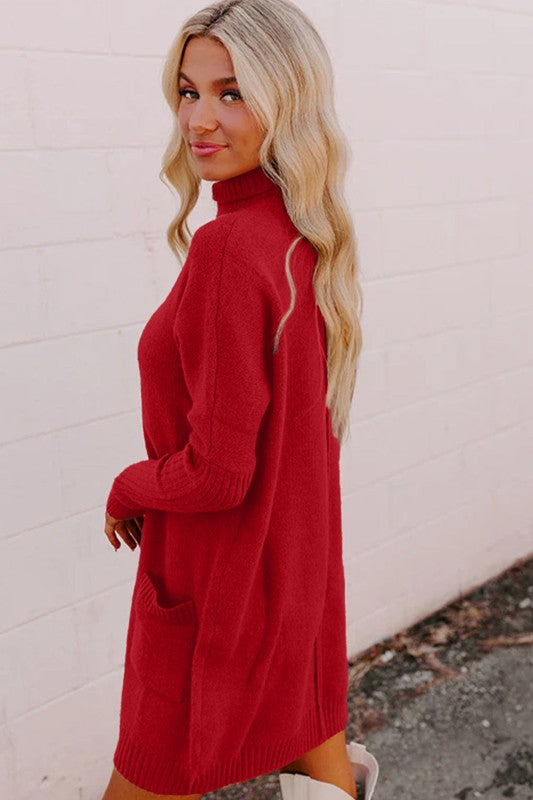 Solid Ribbed Mock Neck Sweater Dress