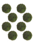 Boxwood Sedum Orb (Set of 8)