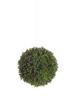 Boxwood Sedum Orb (Set of 8)