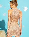 Sequins Bodycon Party Dress with Shoulder Beads