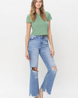 VERVET by Flying Monkey 90's Vintage Super High Rise Flare Jeans