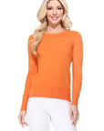 Crew Neck Long Sleeve Light Basic Casual Knit Top