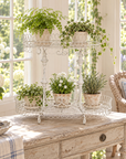 Park Hill French Wire Display Stand – Antiqued White