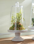 Napa Home & Garden Laurent Cloche Small