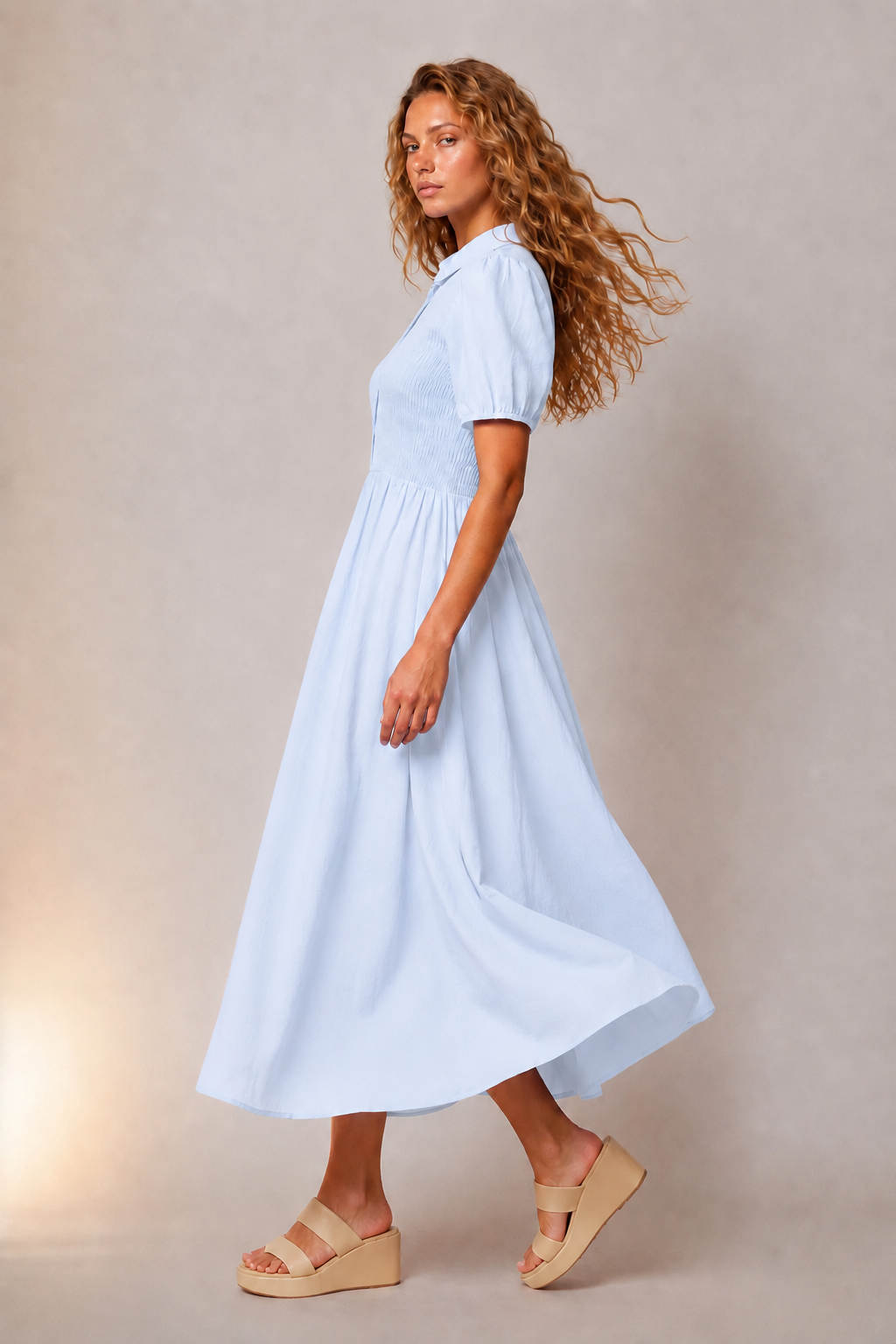Jenna Smocked Collared Dress in Blue