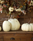 Full Moon Pumpkin Collection, Set of 5 by Park Hill