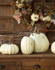 Full Moon Pumpkin Collection, Set of 5 by Park Hill