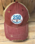 America 250 -distressed Trucker Hat
