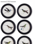 Napa Home & Garden Hummingbird Round Petite Prints (Set of 6)