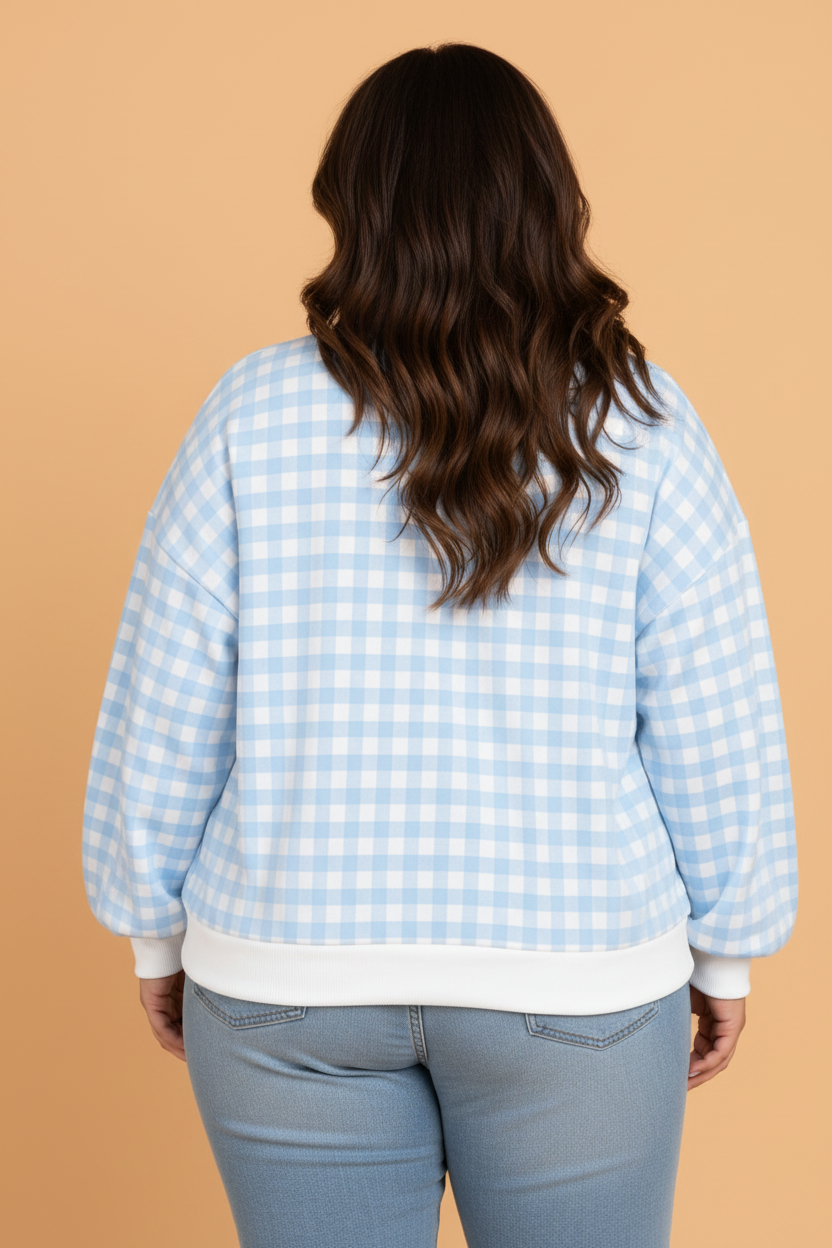 Plus Size Light Blue Gingham Sweatshirt
