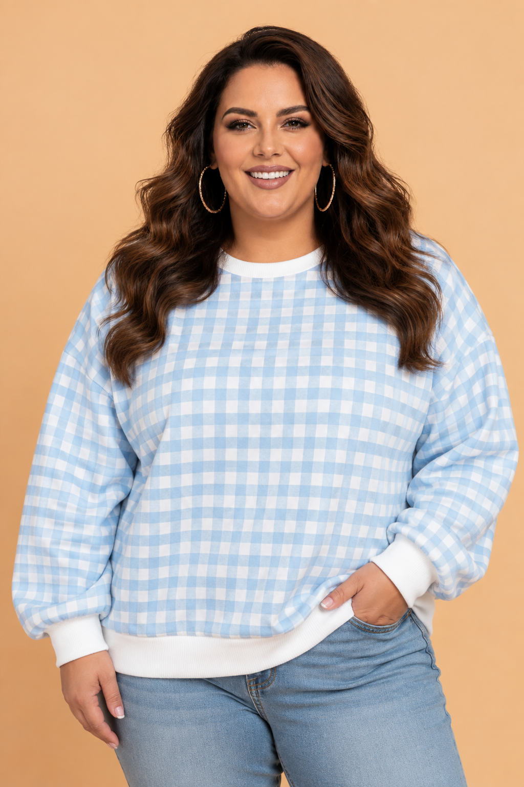 Plus Size Light Blue Gingham Sweatshirt