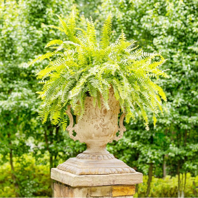 Park Hill | Aged Estate Urn