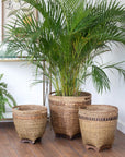Park Hill | Lombok Rattan Baskets, Set of 3 - My Pampered Life Seattle