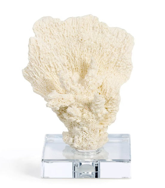 A beautiful product at my pampered life seattle.