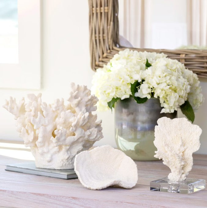 A beautiful product at my pampered life seattle.