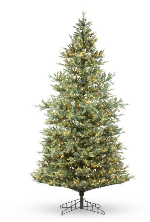 Park Hill Montana Spruce Tree, Multi Function w/ Soft Twinkle, 10'H