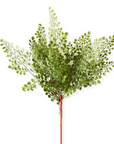 Maidenhair Fern Spray Stem – 16″ Faux Greenery