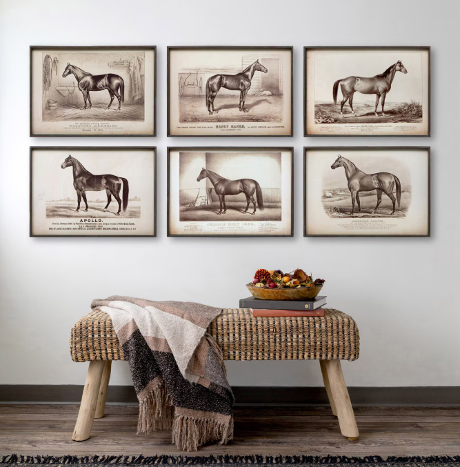Park Hill Prized Race Horse Framed Prints – Set of 6