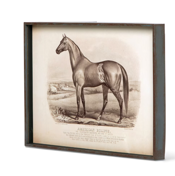 Park Hill Prized Race Horse Framed Prints – Set of 6