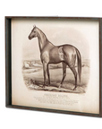 Park Hill Prized Race Horse Framed Prints – Set of 6