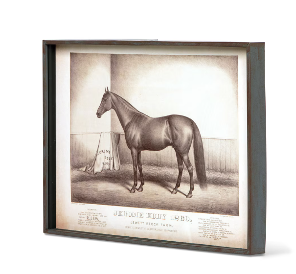 Park Hill Prized Race Horse Framed Prints – Set of 6