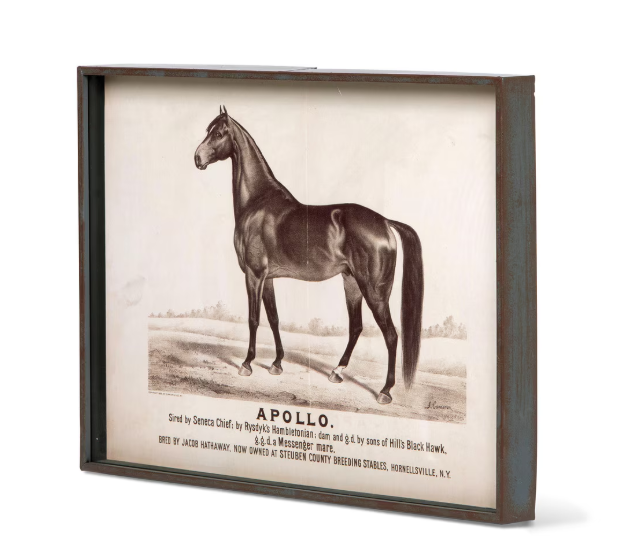 Park Hill Prized Race Horse Framed Prints – Set of 6