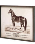 Park Hill Prized Race Horse Framed Prints – Set of 6