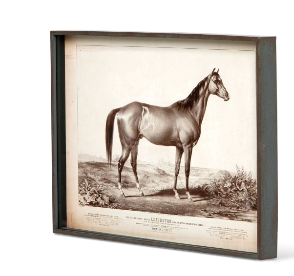 Park Hill Prized Race Horse Framed Prints – Set of 6