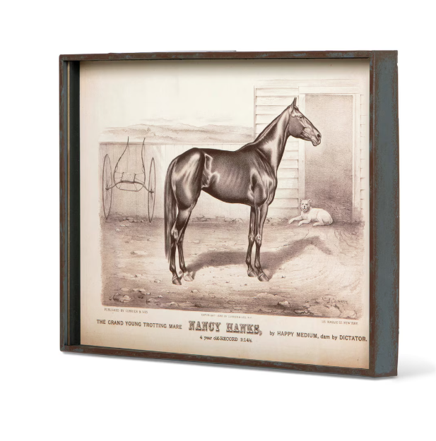 Park Hill Prized Race Horse Framed Prints – Set of 6