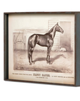 Park Hill Prized Race Horse Framed Prints – Set of 6