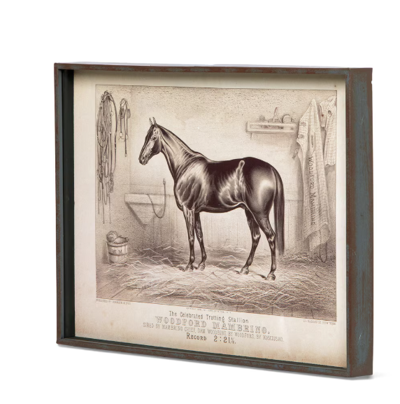 Park Hill Prized Race Horse Framed Prints – Set of 6