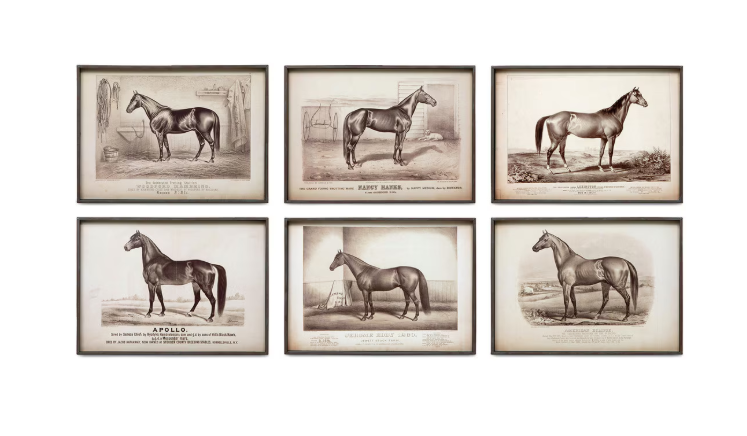 Park Hill Prized Race Horse Framed Prints – Set of 6