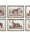 Park Hill Prized Race Horse Framed Prints – Set of 6