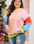 Women Plus Size Colorblock Crew Neck Sweatshirt